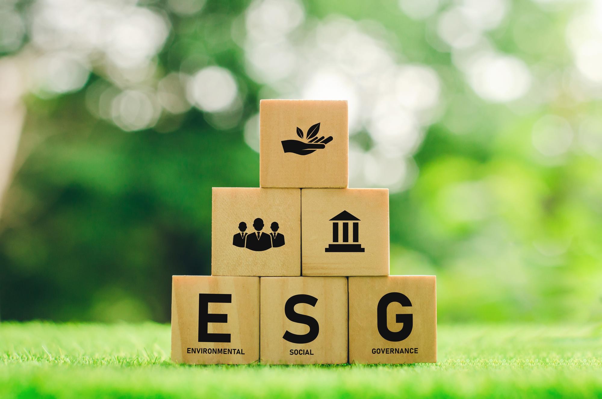 The Impact of ESG on M&A Deals and Strategies for Sustainable Investments